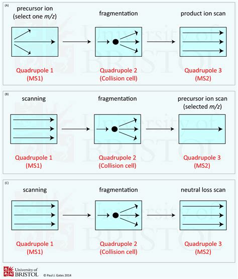 tandem mass spectrometry meaning